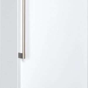 Bauknecht GKN ECO 18 A+++