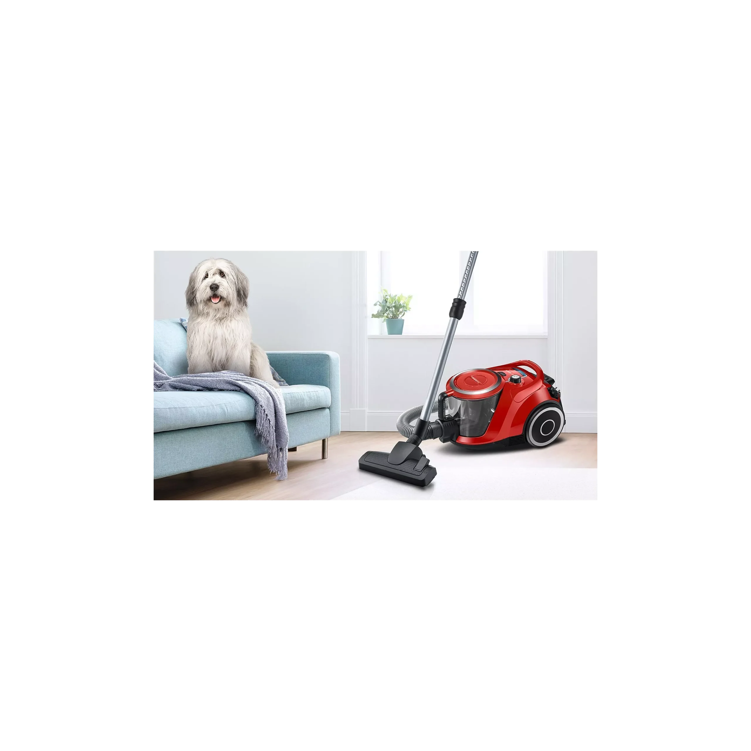 BOSCH Pro animal rood BGS41PET1 - Afbeelding 4